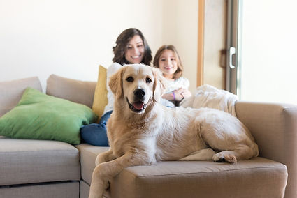A golden retriever relaxes on a beige couch in a Tucson home, with two people nearby and sunlight filtering through a glass door—capturing a pet-friendly environment where home cleaning prioritizes comfort and safety for every member of the household.