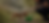 Rectangle 173 (2).png