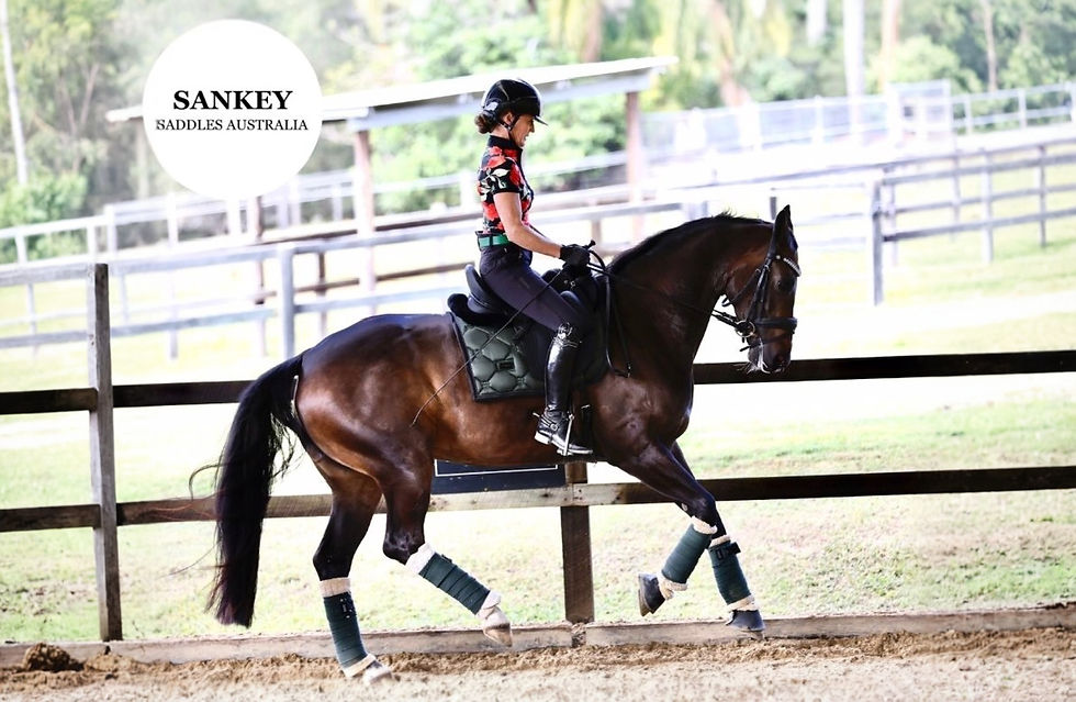 Everdeen in her Sankey Deluxe II.
