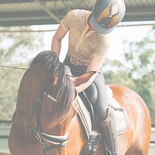 Nicole tough partner (4).png