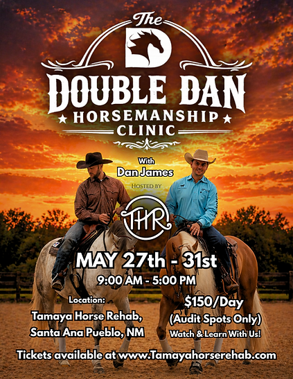 Dan James Website Flyer (4).png