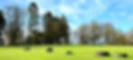 thumbnail_IMG_6907_edited.jpg