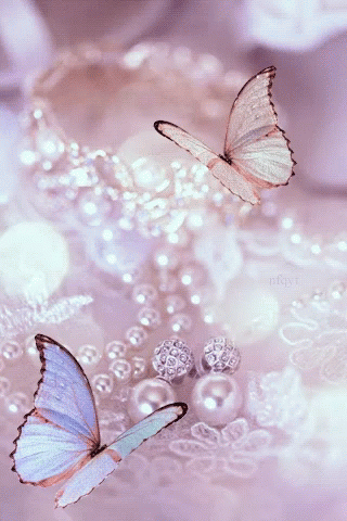 Butterfly Pearls.gif