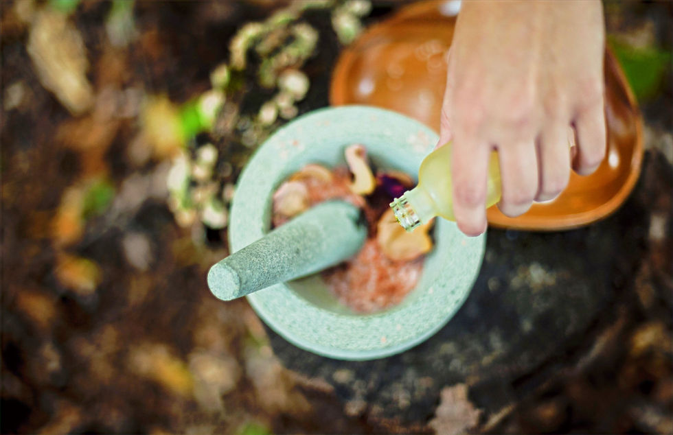 Harmony Way Virtual Home & Family Herbal Training Program
