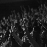 Cheering Crowd
