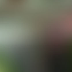 NO CABEN EN TU GYM ? DOS QUE TRES TIPS PARA OPTIMIZAR LOS ESPACIOS DE TU BOX O GYM Y CREAR MÁS SOCIOS.