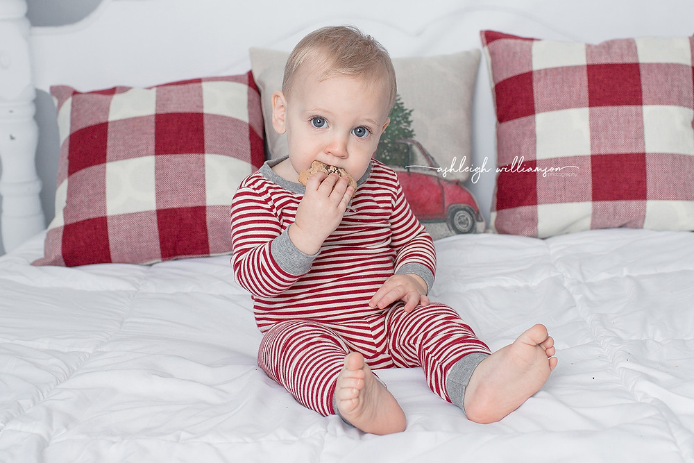 Holiday Mini, baby eating cookie