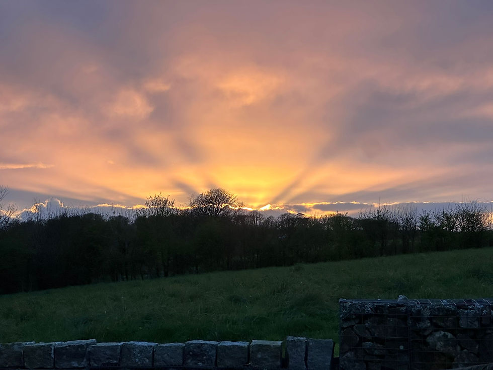 We’re Landed! Open Letters, Episode 1