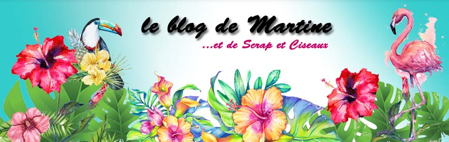 Blog de Martine