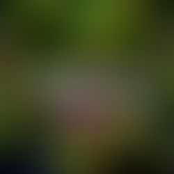 2021 Intention: Celebrating Resilience