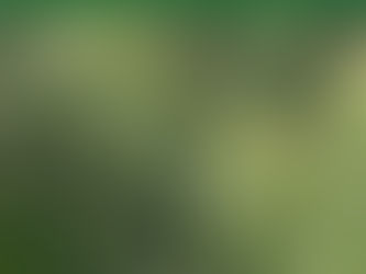 Your Green Haven without Pruning