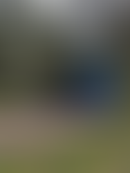 MyCabin Hausanlieferung — Präzision, Mut und Teamgeist in Bewegung