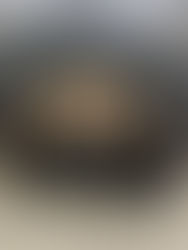 MyCabin team in front of new Living 80 house