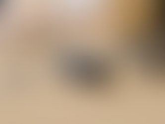 MyCabin Mini toy on the carpet