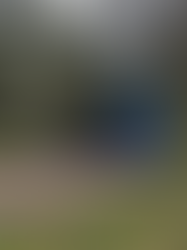 MyCabini majade kohaletoimetamine - täpsus, julgus ja meeskonnatöö