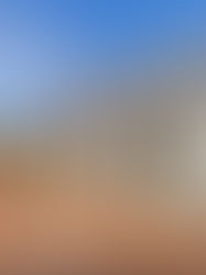 MyCabin home in nature