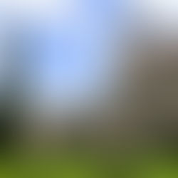 Mais 3 lugares que amo em Lisboa