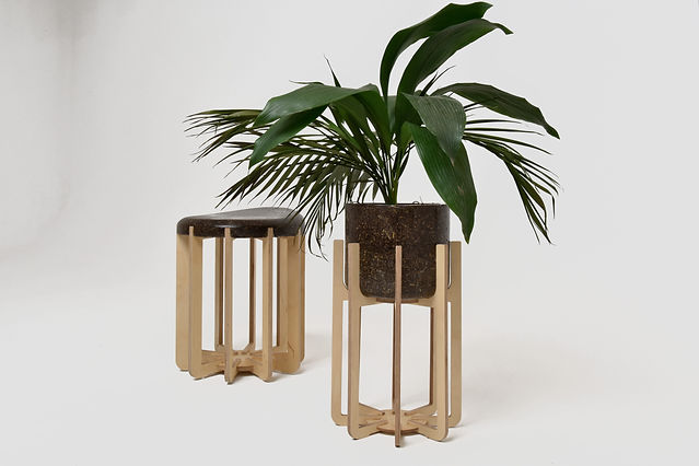 Erth Collection.Photo by Alexander Tindal