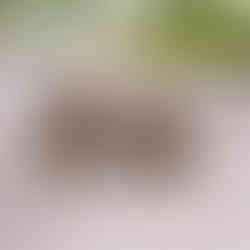 Ziraya – Schmetterlings Ohrringe | Handgefertigter Holzschmuck