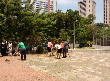 Ação voluntária