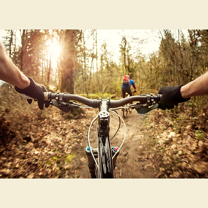 hands gripping mountain bike handlebars and riding along a dirt trail.
