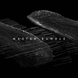 MASTER BUNDLE