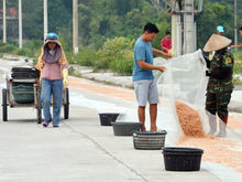 Mùa tép biển Ngọc Vừng