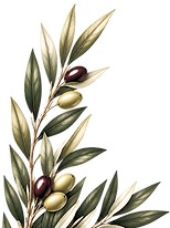 green olives cream background_edited_edi