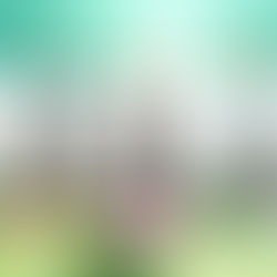 יוגה בשעה 6:30 בבוקר, ימי שלישי וחמישי