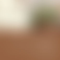 סדנה של חצי יום בהרצליה