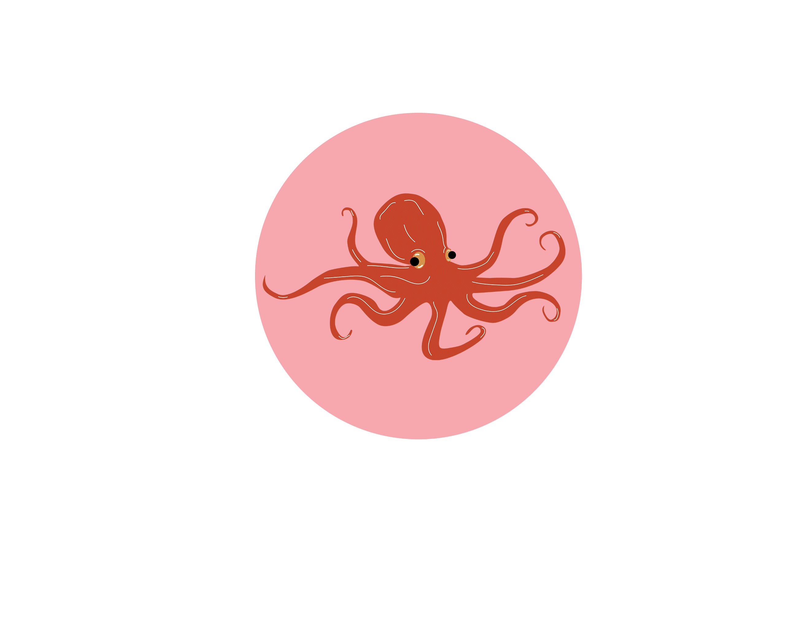 mapKOOKS2pin-02.gif