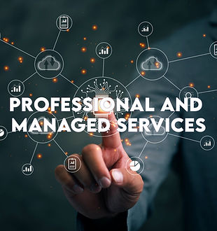 Professional and Managed Services (1).jpeg