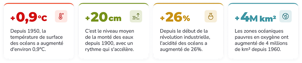 Infographie en 4 cartes sur les océans