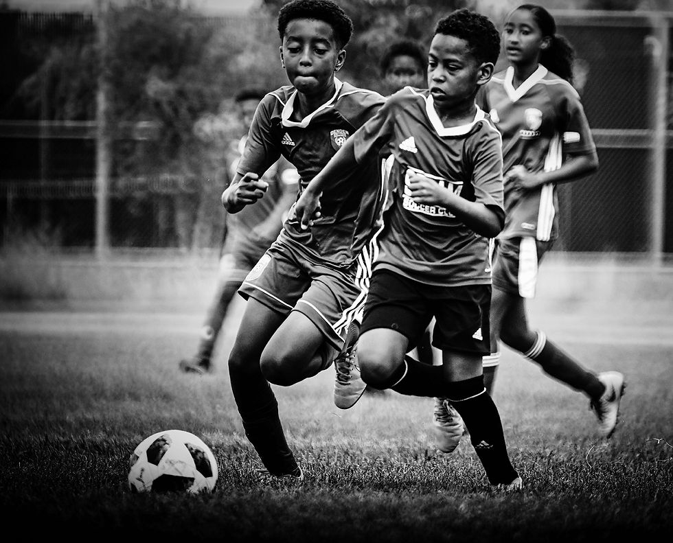 48209681316_946e2d34ba_o (1)_edited.jpg