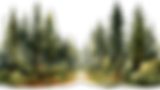 conifer-forest-with-path-watercolor-clipart-style (1).png