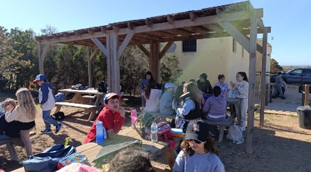 Actividad complementaria