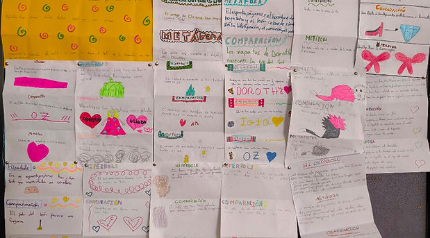 Actividad complementaria