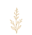Seed-and-Berry-Ingredients-Flower-3_edit