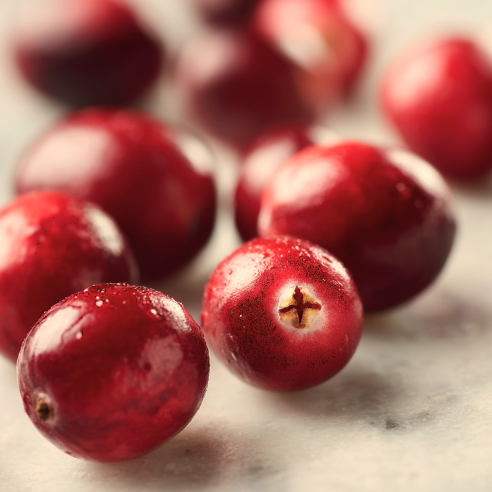 Discover Cranberry Seed Oil: Your Skin's Nurturing Companion