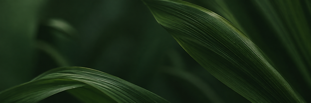 Apotheca-Formulary-Homepage-Image-9.png