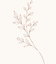 Seed-and-Berry-Ingredients-Flower-3.png