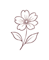 Seed-and-Berry-Contact-Vector-2_edited.png