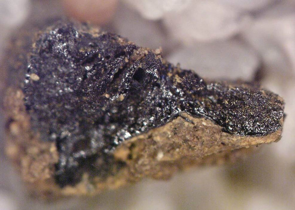 Anthracology