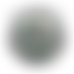 Black Lung Ultramarathon - Virtual