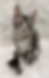 Thumbnail: Rex