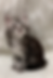 Thumbnail: Rex