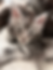Thumbnail: Rex