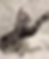 Thumbnail: Rex
