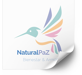 Minimalist B Typographic Logo (5).png