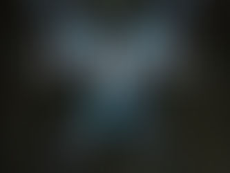 Sentinel (The Covenant series Book 5) - Jennifer L. Armentrout